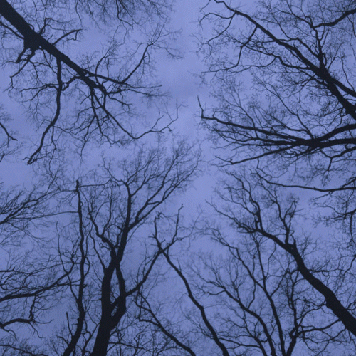 Garden Of Sadness : I Failed... Again